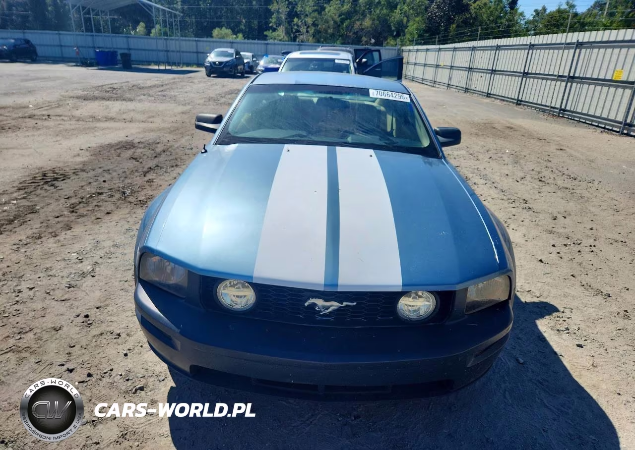 2006 Ford Mustang VIN:1ZVFT80N965200444 - 5