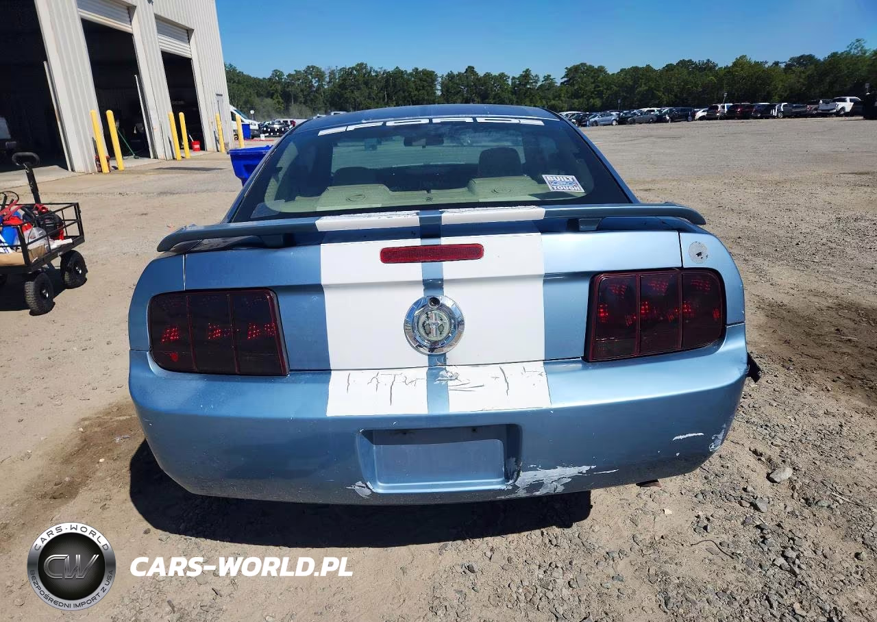2006 Ford Mustang VIN:1ZVFT80N965200444 - 6
