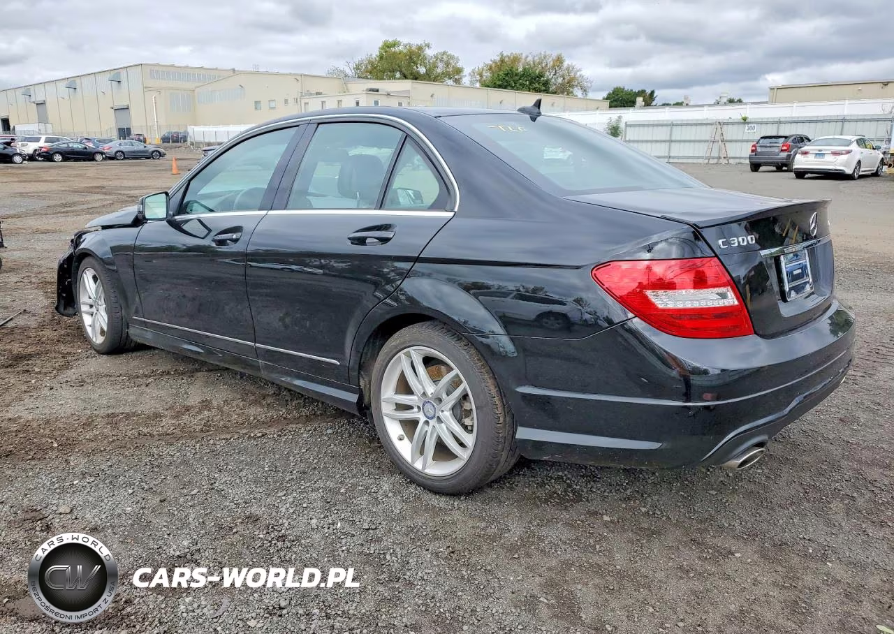 2014 Mercedes-Benz C 300 4Matic VIN:WDDGF8AB4EG256920 - 2