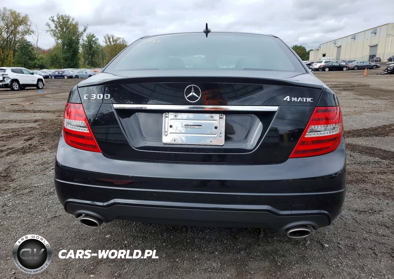 2014 Mercedes-Benz C 300 4Matic VIN:WDDGF8AB4EG256920 - 6