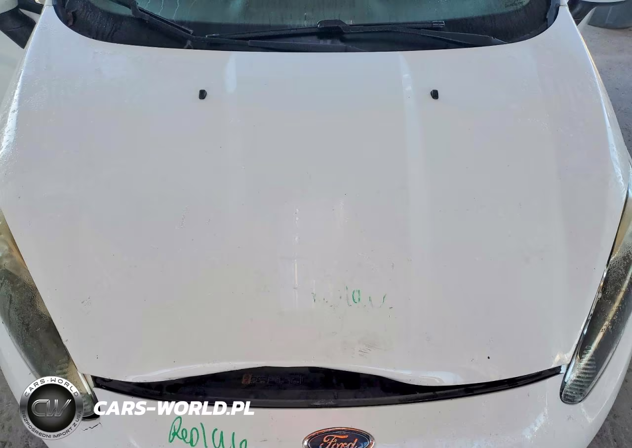2017 Ford Fiesta S VIN:3FADP4AJ0HM156842 - 11