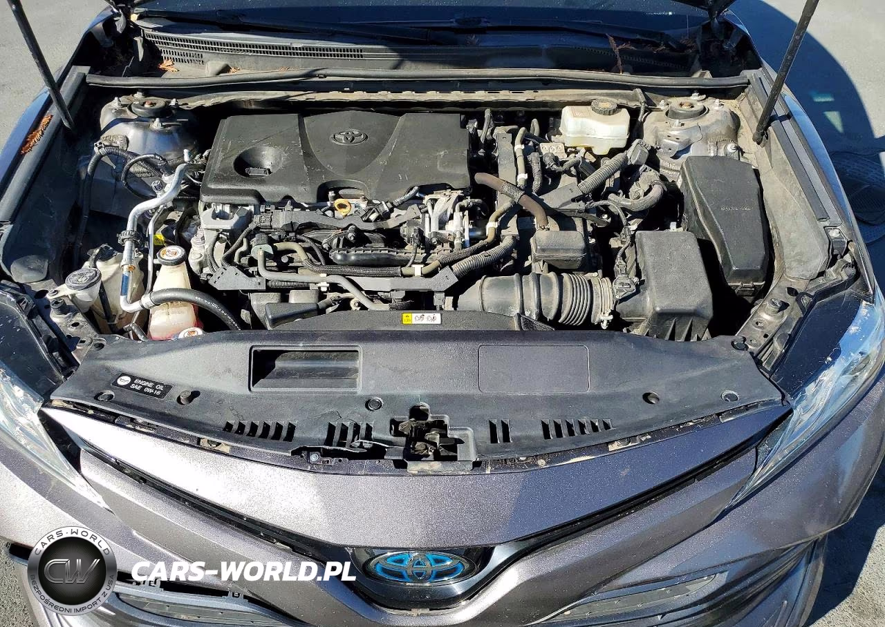 2020 Toyota Camry Xle VIN:4T1F31AKXLU011524 - 11