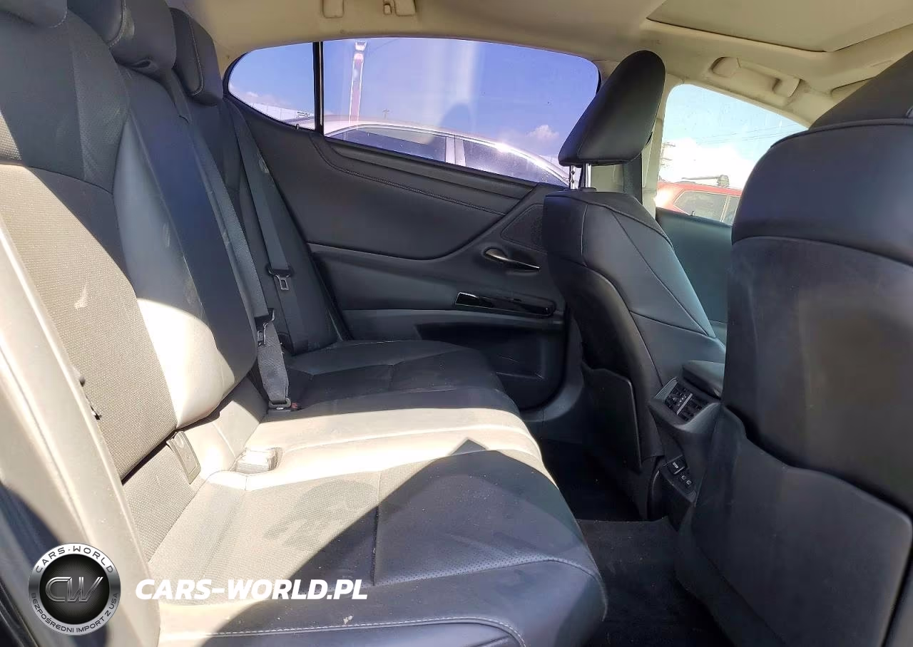 2023 Lexus Es 300H Base VIN:58ADA1C1XPU029540 - 10