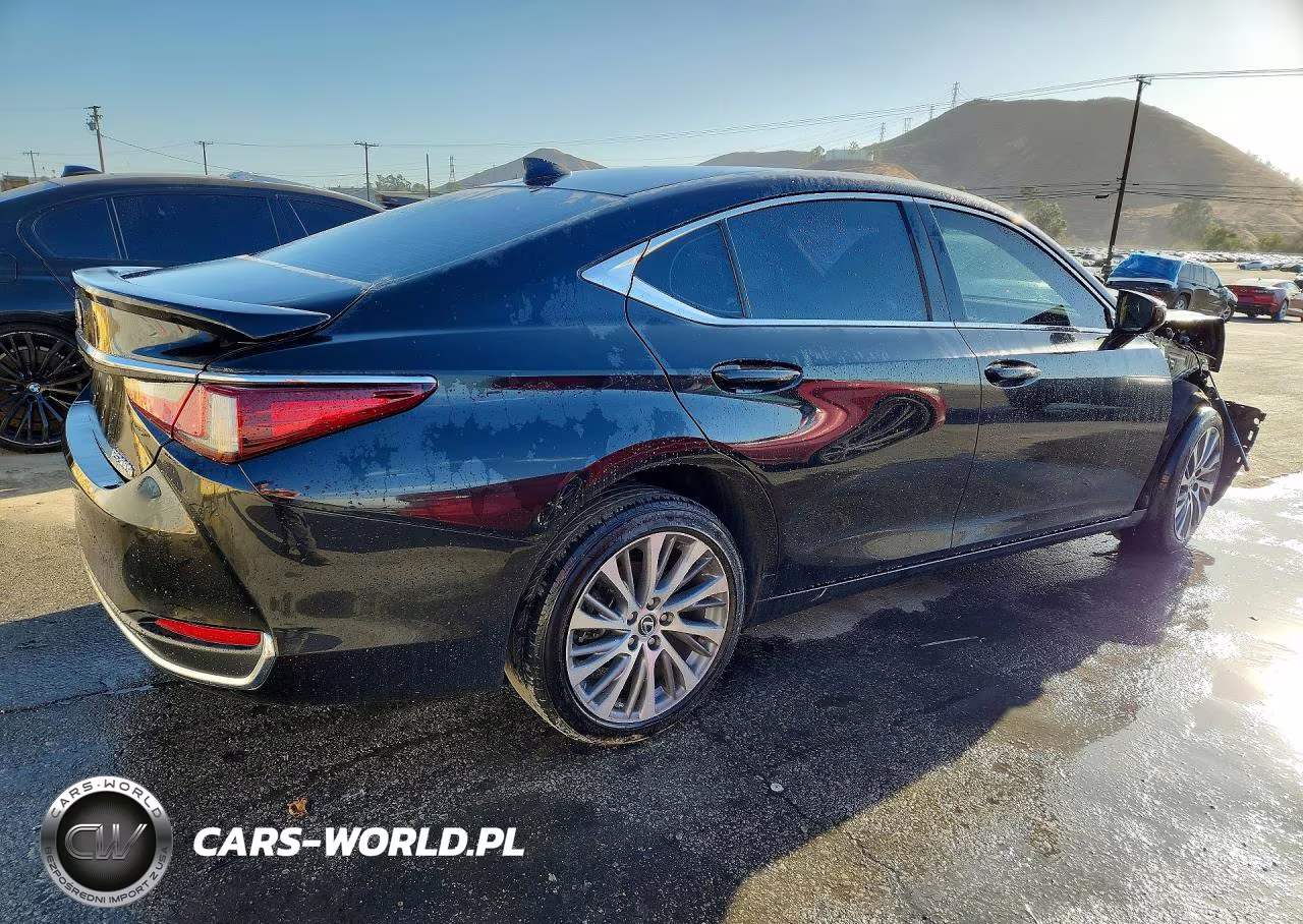 2023 Lexus Es 300H Base VIN:58ADA1C1XPU029540 - 3