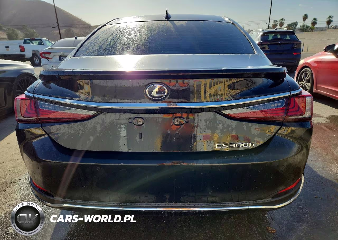 2023 Lexus Es 300H Base VIN:58ADA1C1XPU029540 - 6
