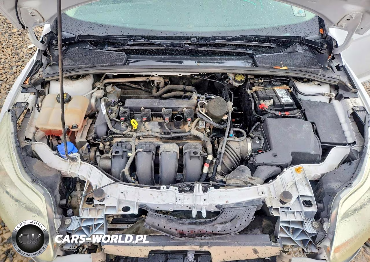 2014 Ford Focus Se VIN:1FADP3K27EL305729 - 11