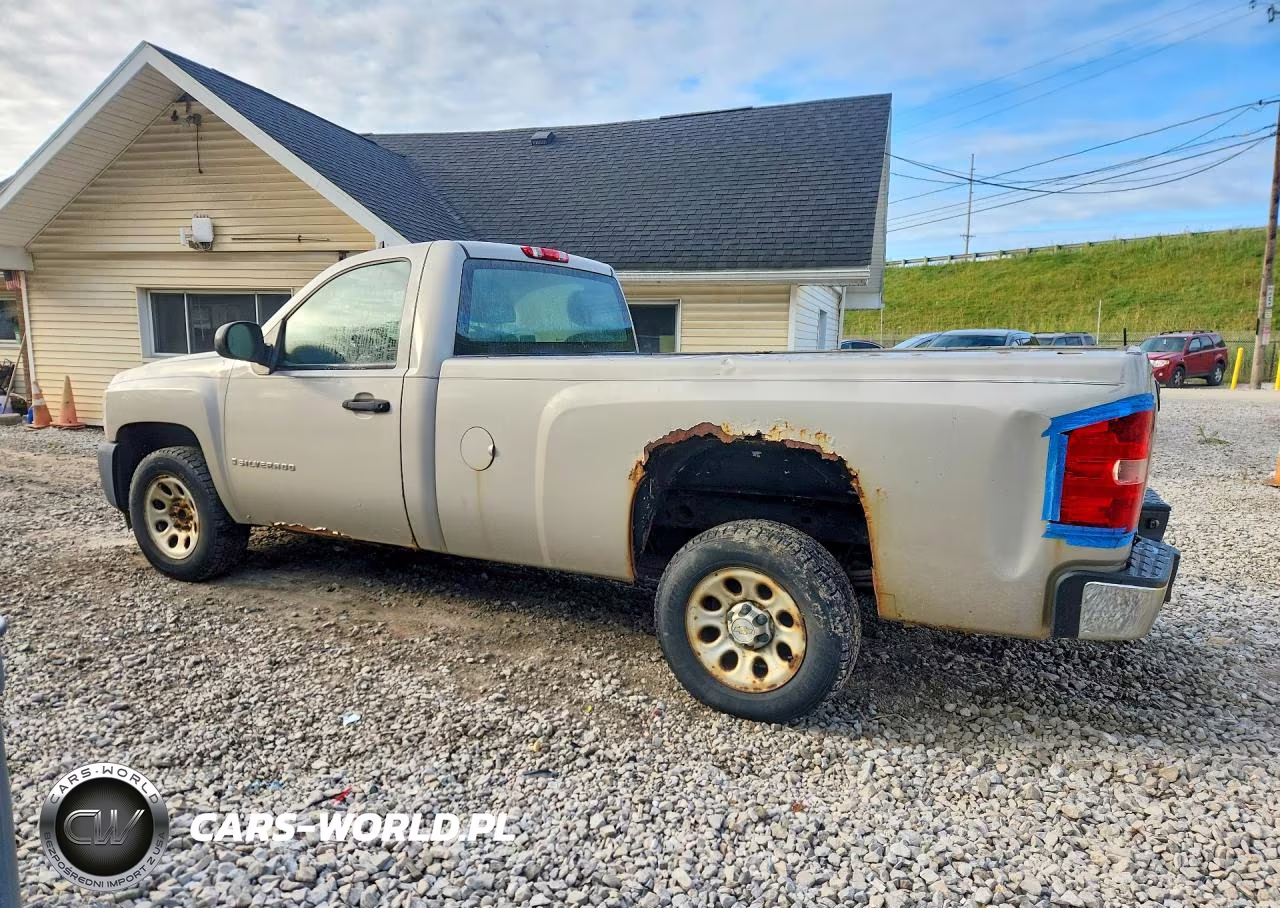 2009 Chevrolet Silverado C1500 VIN:1GCEC14XX9Z238523 - 2