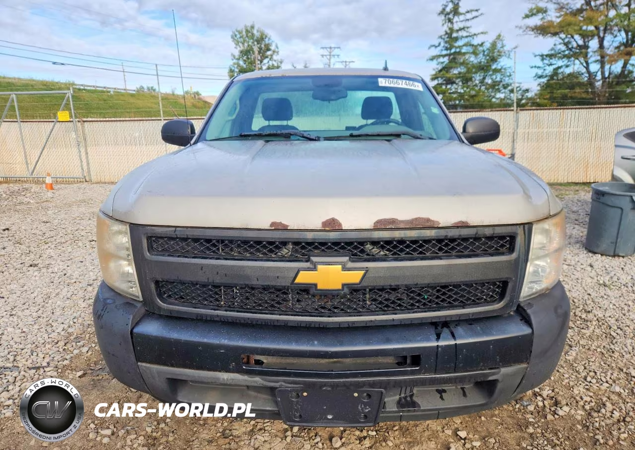 2009 Chevrolet Silverado C1500 VIN:1GCEC14XX9Z238523 - 5