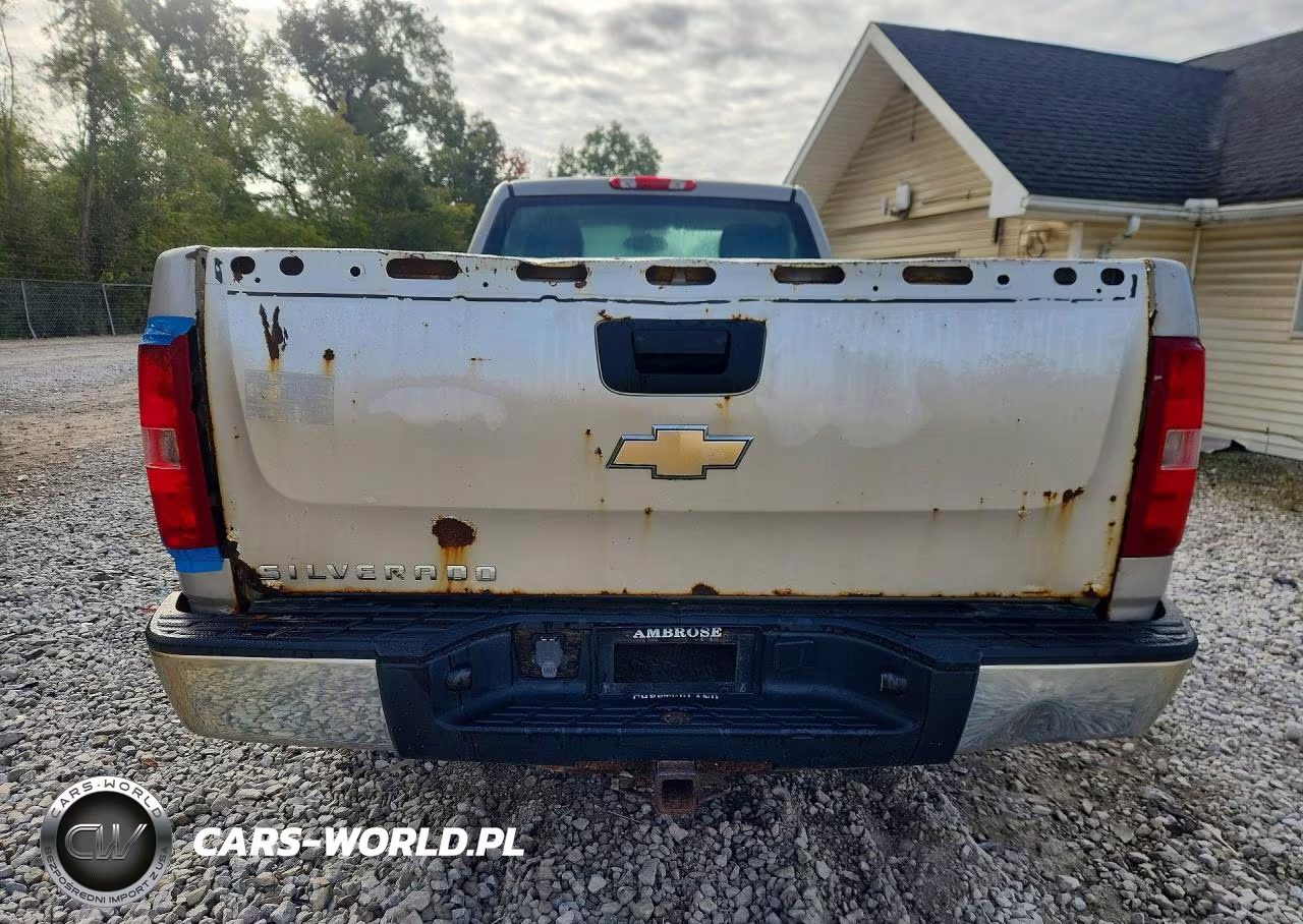 2009 Chevrolet Silverado C1500 VIN:1GCEC14XX9Z238523 - 6