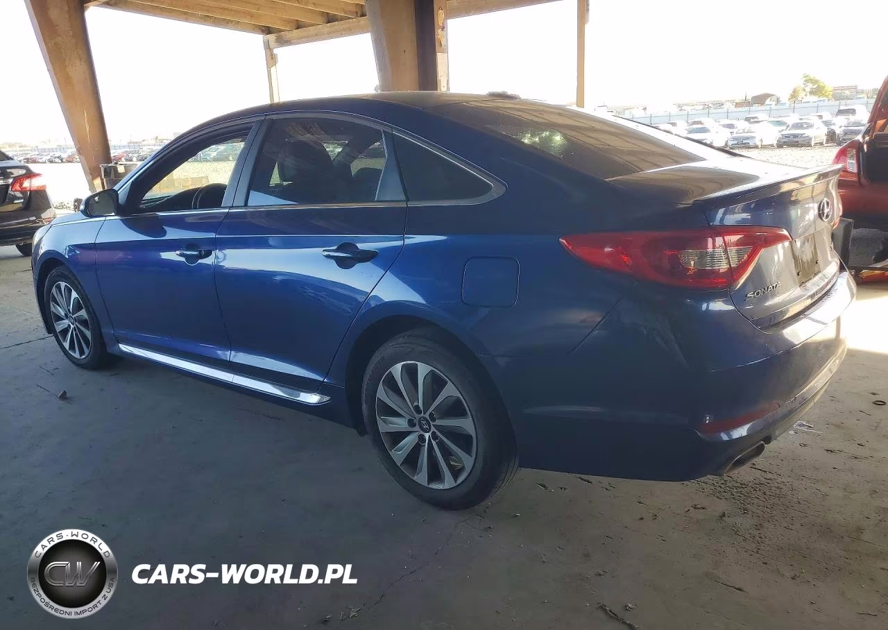 2016 Hyundai Sonata Sport VIN:5NPE34AF0GH315594 - 2