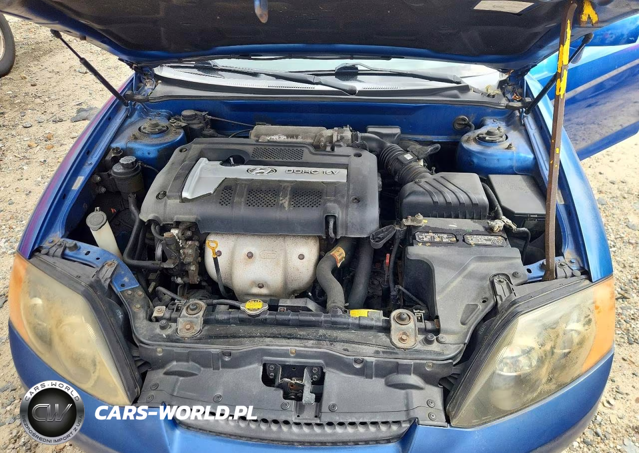 2004 Hyundai Tiburon Base VIN:KMHHM65D24U144276 - 11