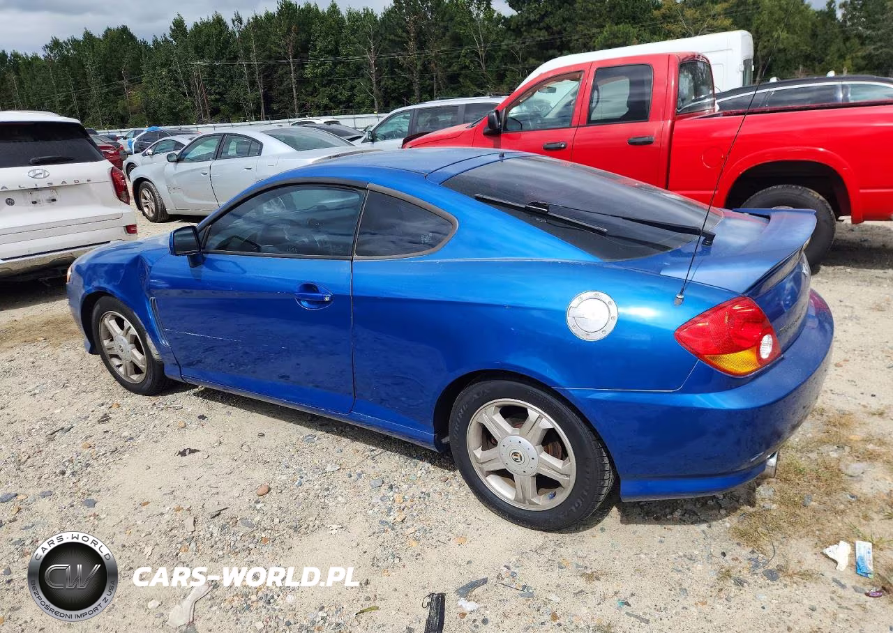2004 Hyundai Tiburon Base VIN:KMHHM65D24U144276 - 2