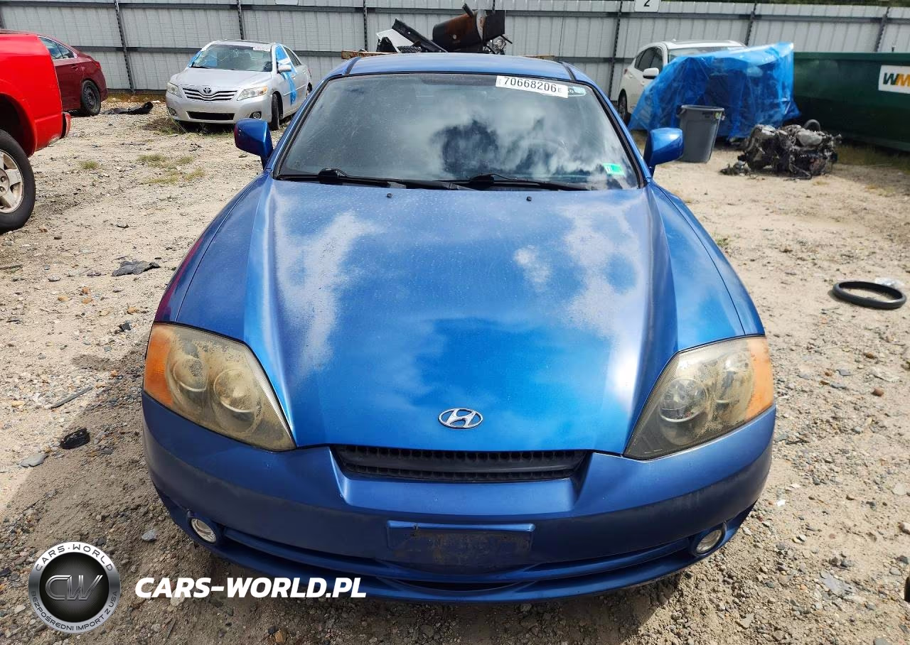 2004 Hyundai Tiburon Base VIN:KMHHM65D24U144276 - 5