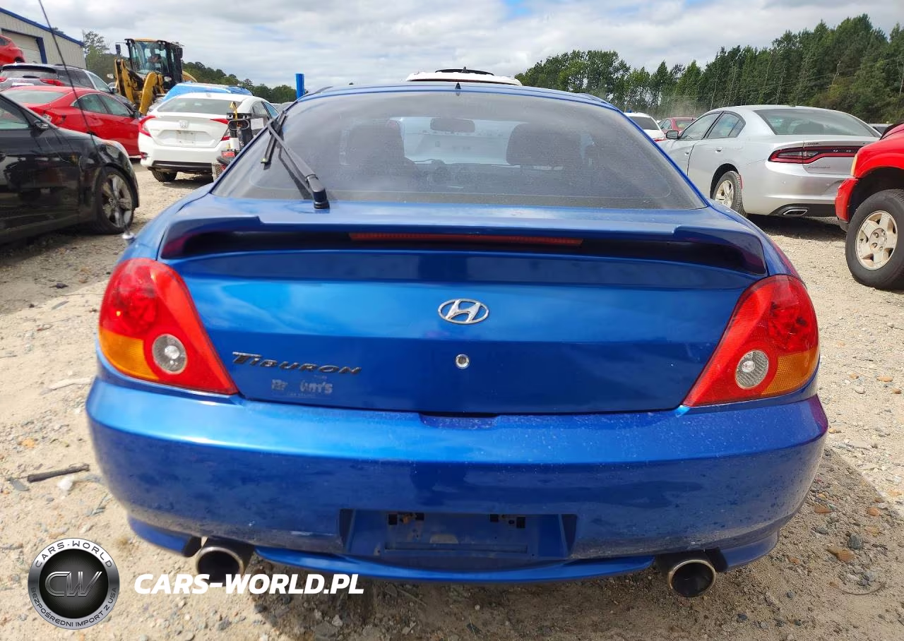 2004 Hyundai Tiburon Base VIN:KMHHM65D24U144276 - 6