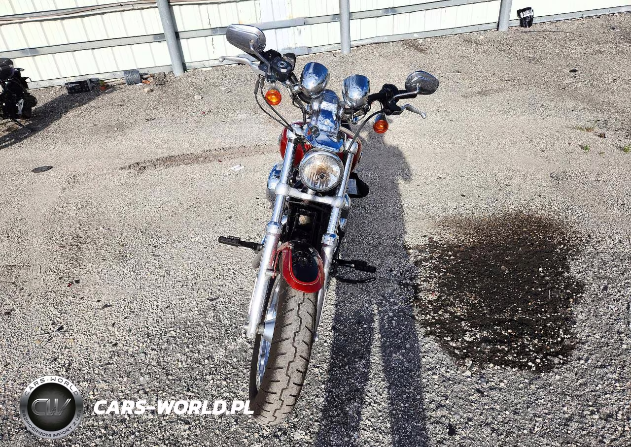2013 Harley-Davidson Xl1200 C VIN:1HD1CT319DC401356 - 2