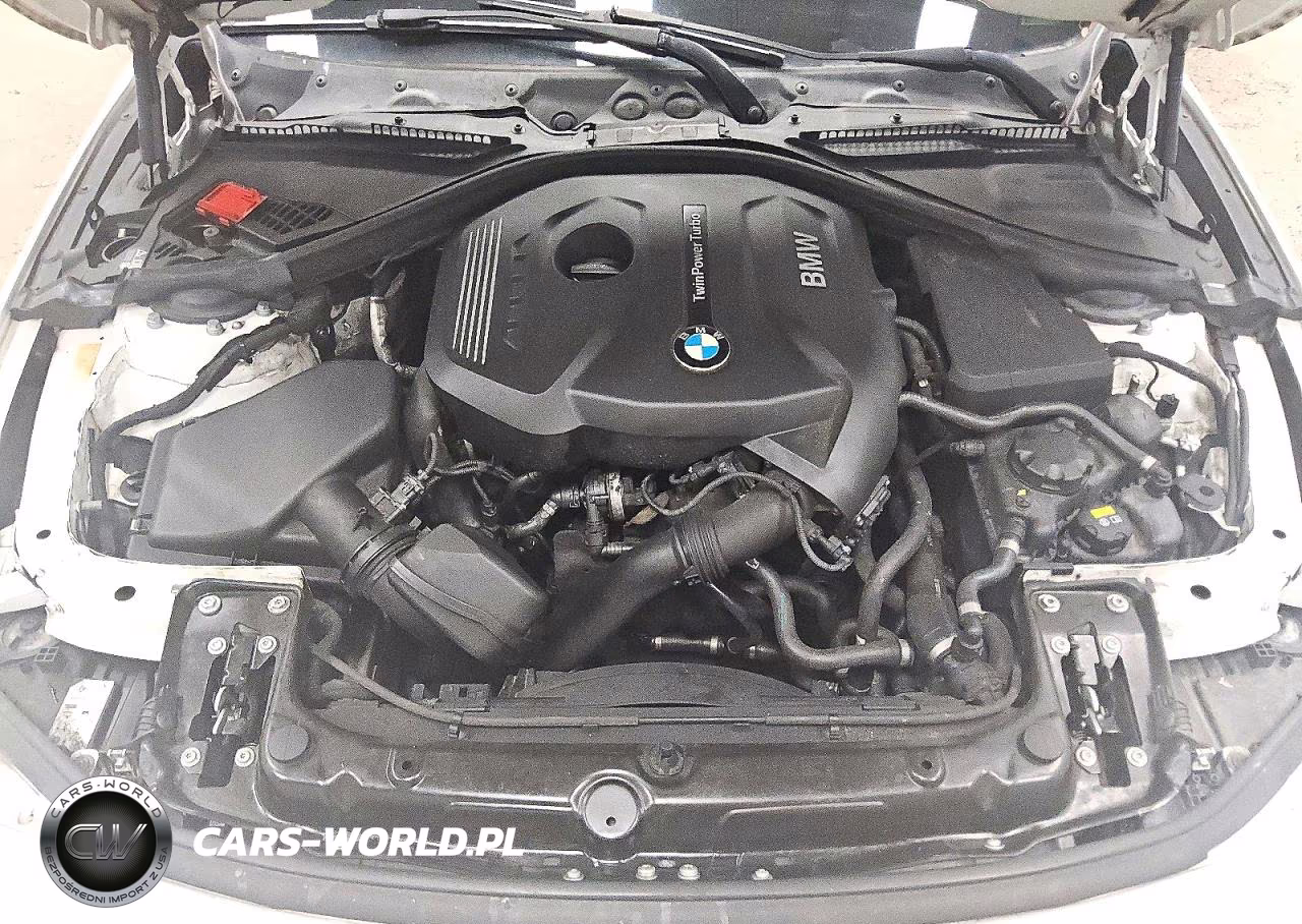 2017 BMW 330 I VIN:WBA8B9G30HNU56237 - 11