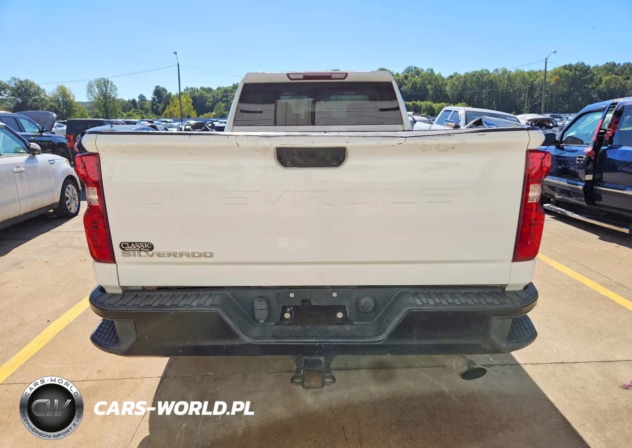 2020 Chevrolet Silverado K2500 Heavy Duty VIN:1GC2YLE78LF218987 - 6