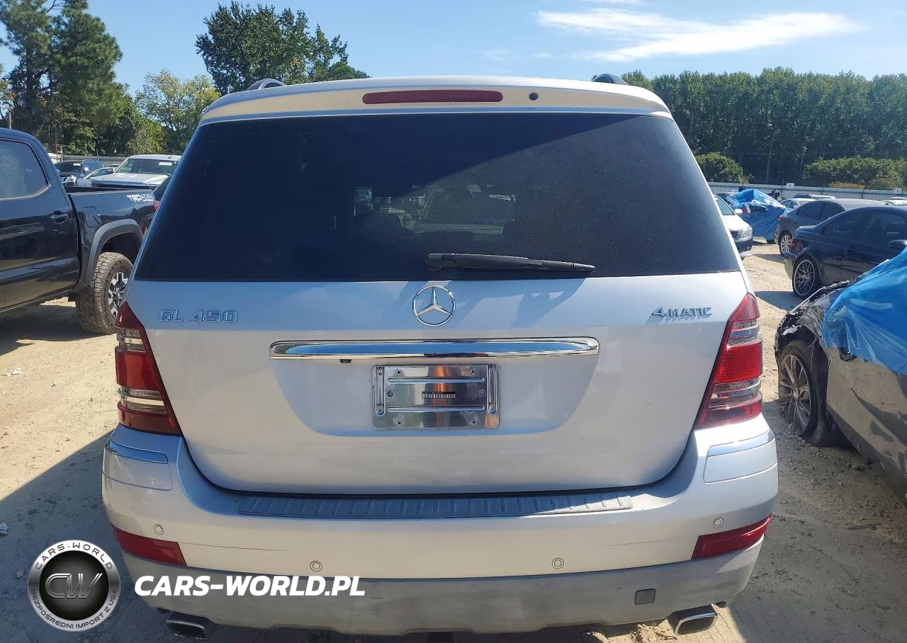 2008 Mercedes-Benz Gl 450 4Matic VIN:4JGBF71E18A304904 - 6