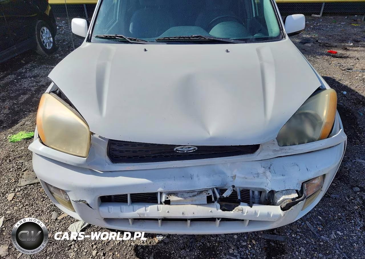 2002 Toyota Rav4 Base VIN:JTEHH20V520133595 - 12