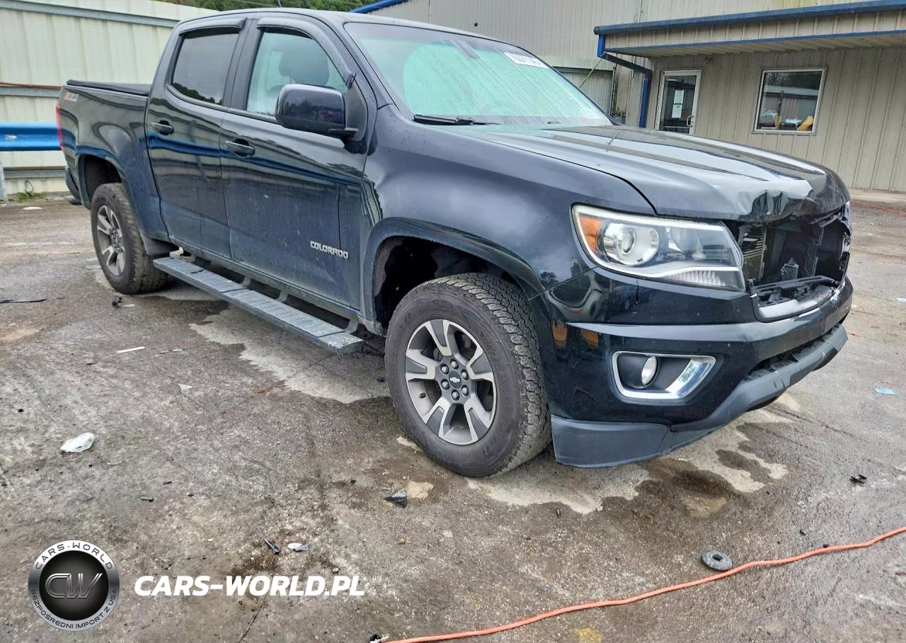 2016 Chevrolet Colorado Z71 VIN:1GCGTDE39G1102630 - 4