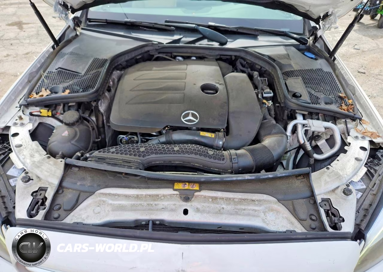 2019 Mercedes-Benz C 300 4Matic VIN:WDDWF8EB8KR483291 - 11