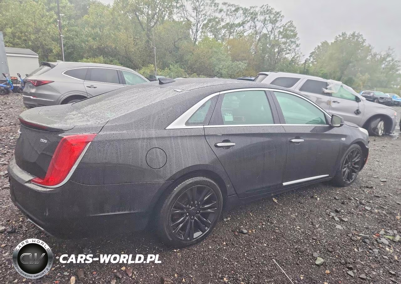 2019 Cadillac Xts Luxury VIN:2G61M5S32K9157571 - 3