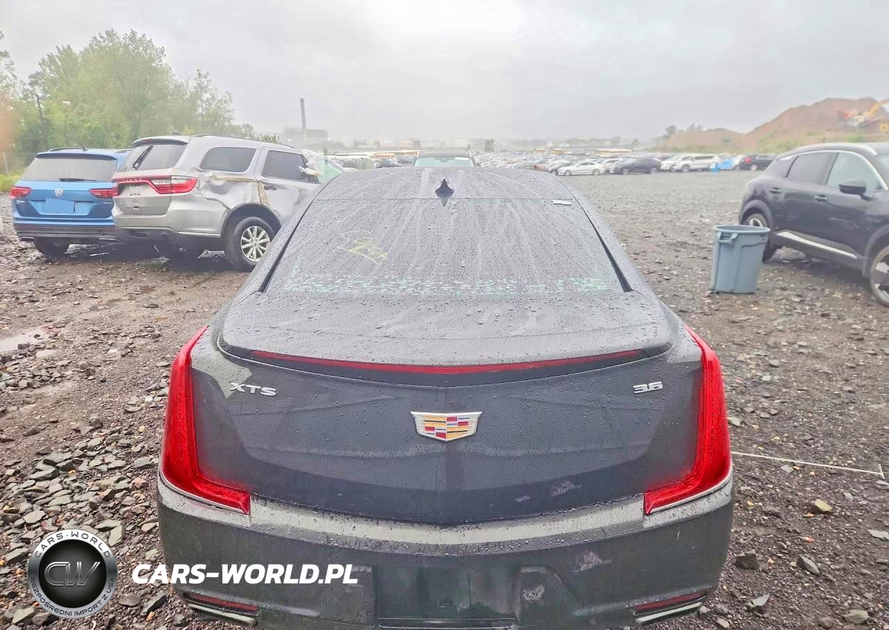 2019 Cadillac Xts Luxury VIN:2G61M5S32K9157571 - 6