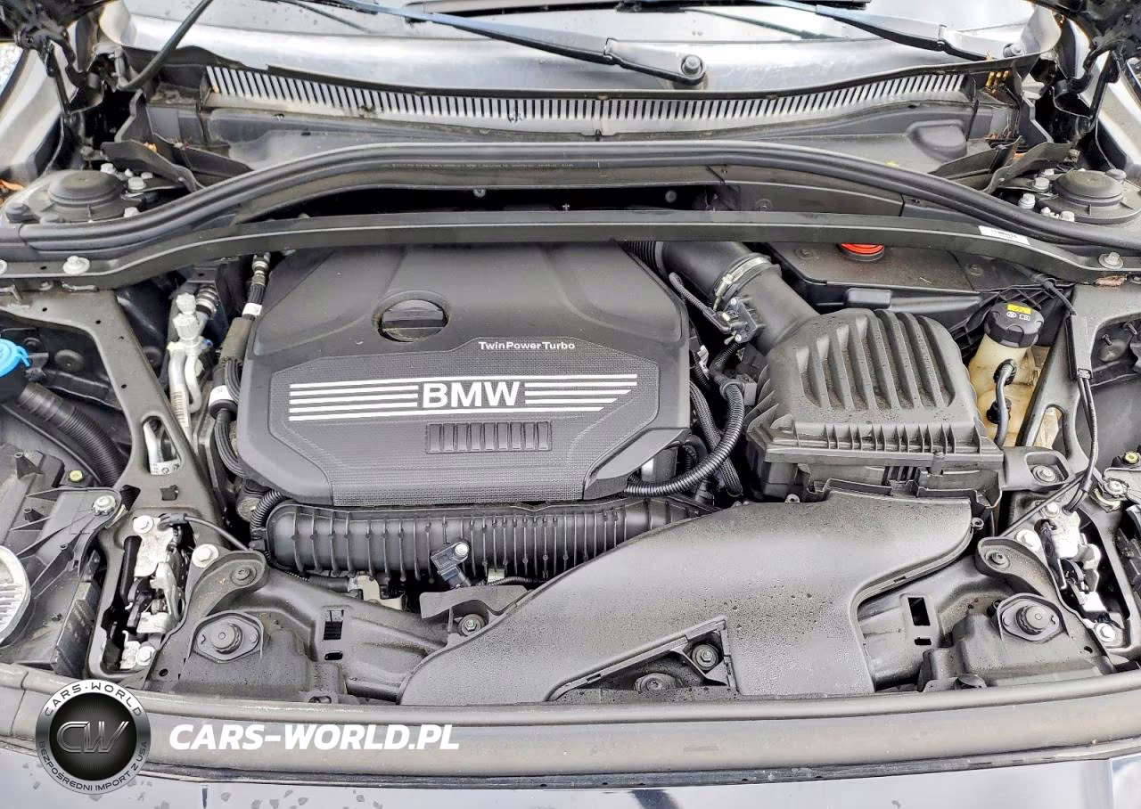2021 BMW 228Xi VIN:WBA73AK08M7J11110 - 11