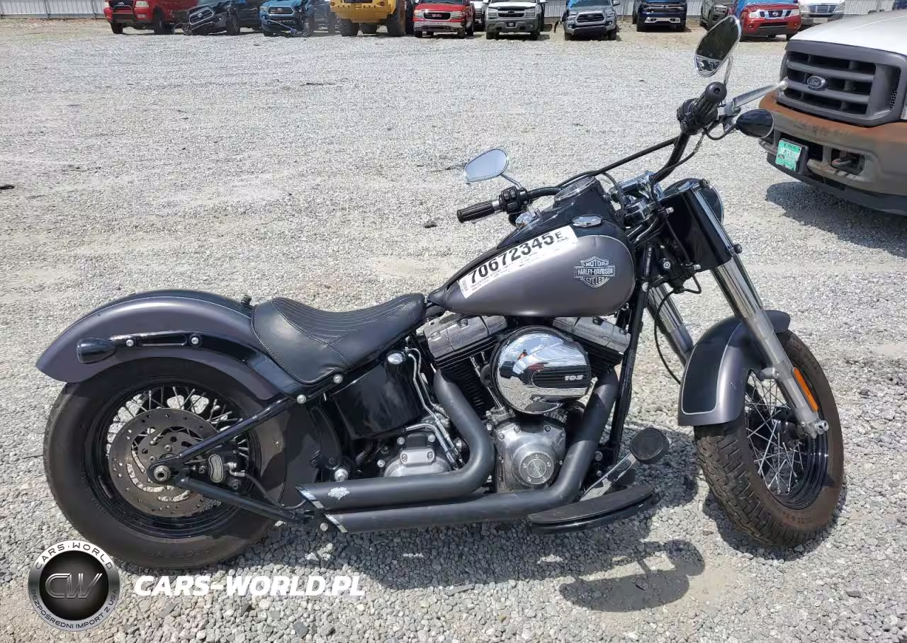 2017 Harley-Davidson Fls Softail Slim