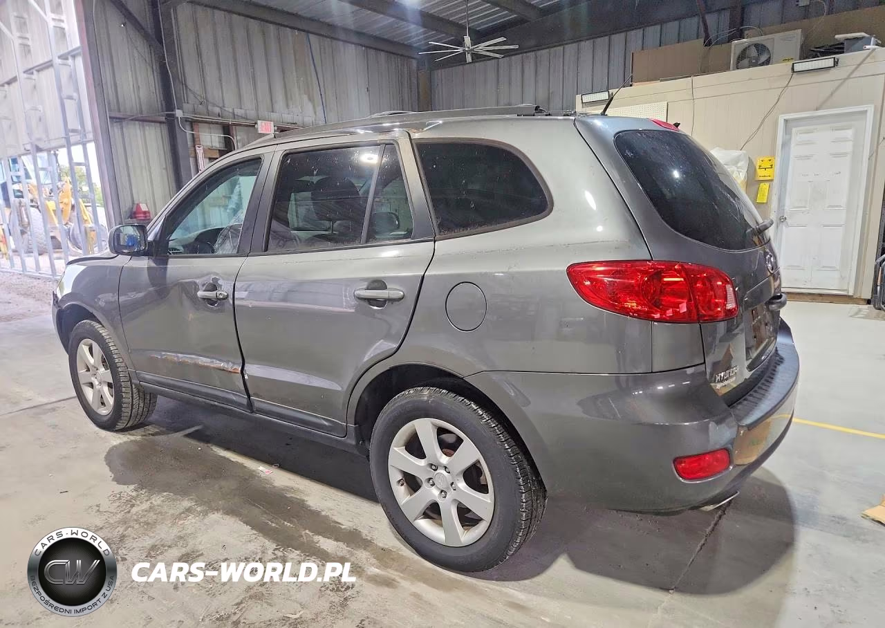 2009 Hyundai Santa Fe Se VIN:5NMSH13E39H324460 - 2