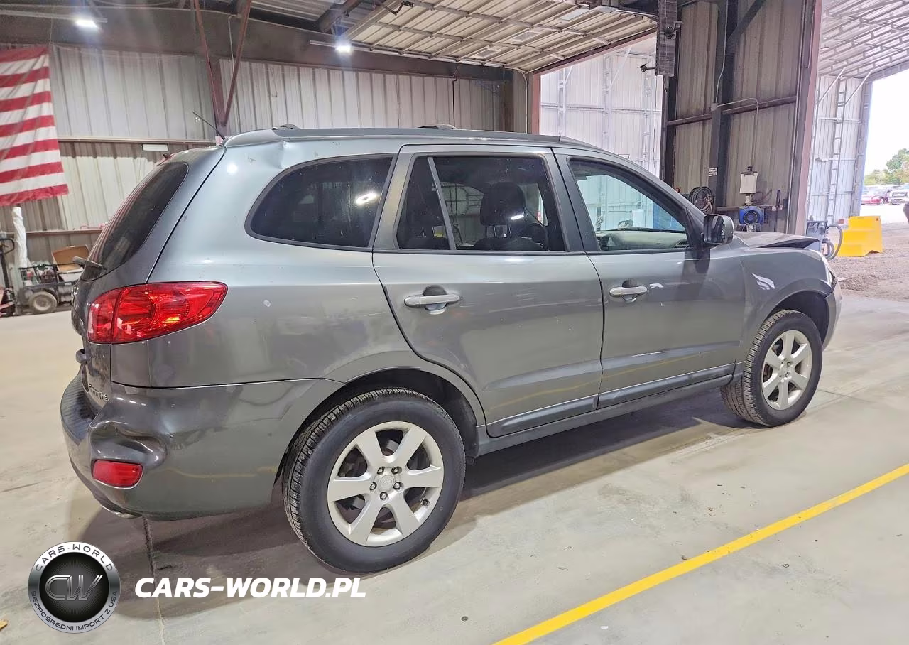 2009 Hyundai Santa Fe Se VIN:5NMSH13E39H324460 - 3
