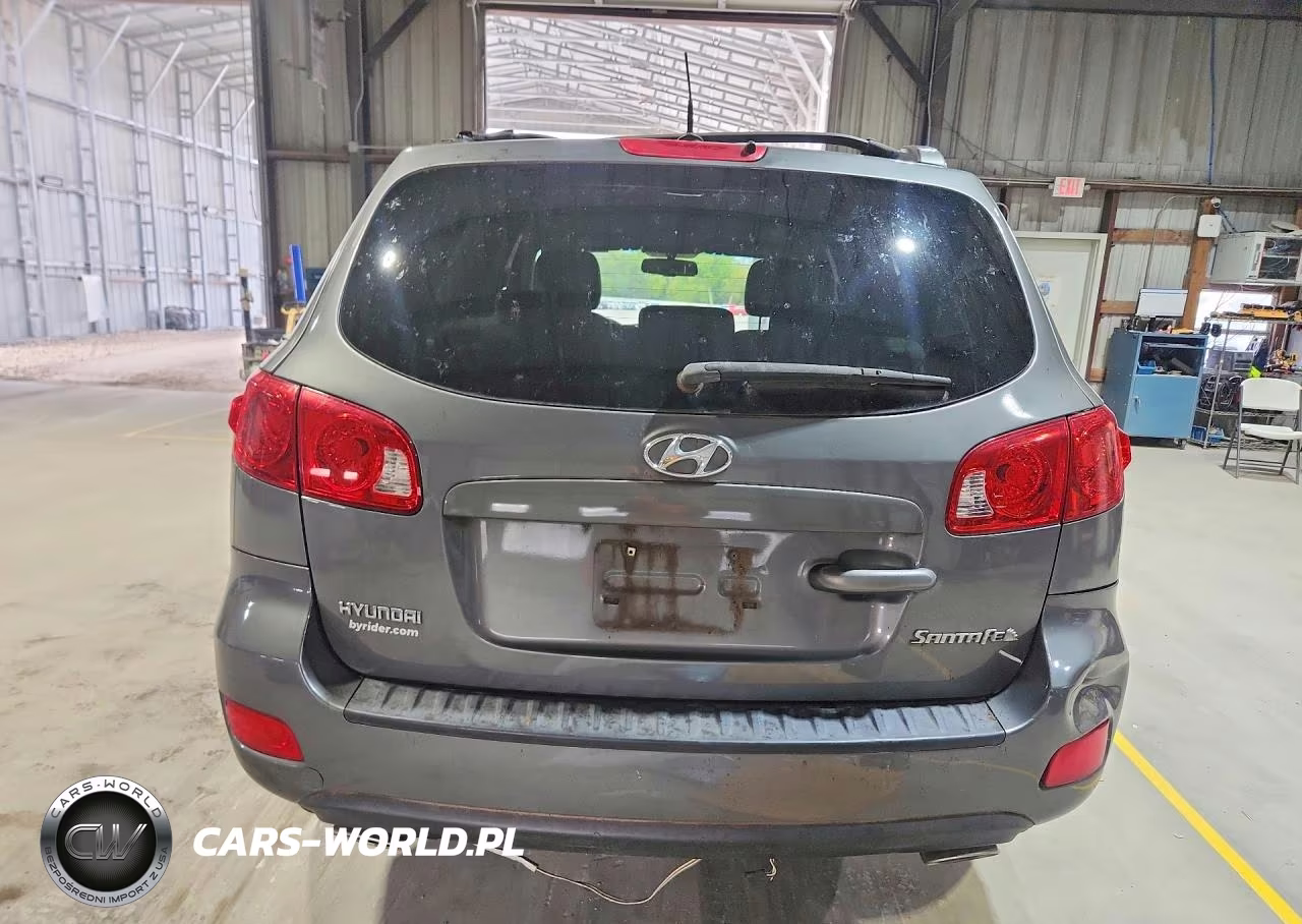 2009 Hyundai Santa Fe Se VIN:5NMSH13E39H324460 - 6