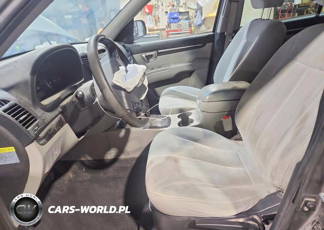 2009 Hyundai Santa Fe Se VIN:5NMSH13E39H324460 - 7