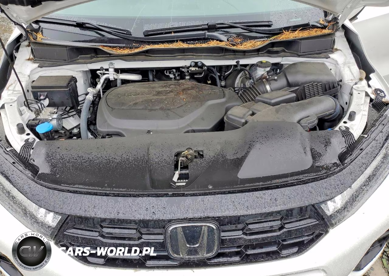 2025 Honda Odyssey Touring VIN:5FNRL6H88SB034350 - 12