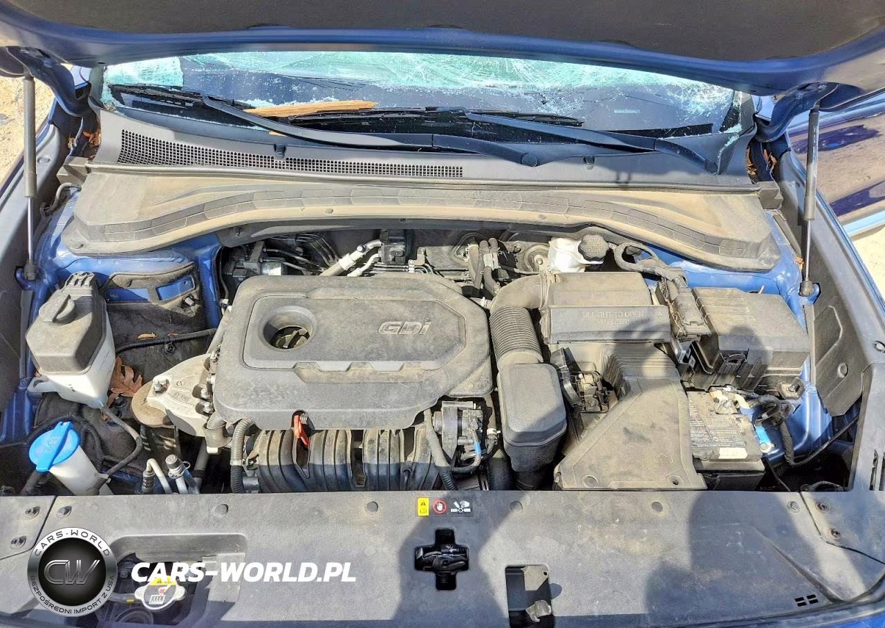 2020 Hyundai Santa Fe Sel VIN:5NMS3CAD2LH277708 - 12