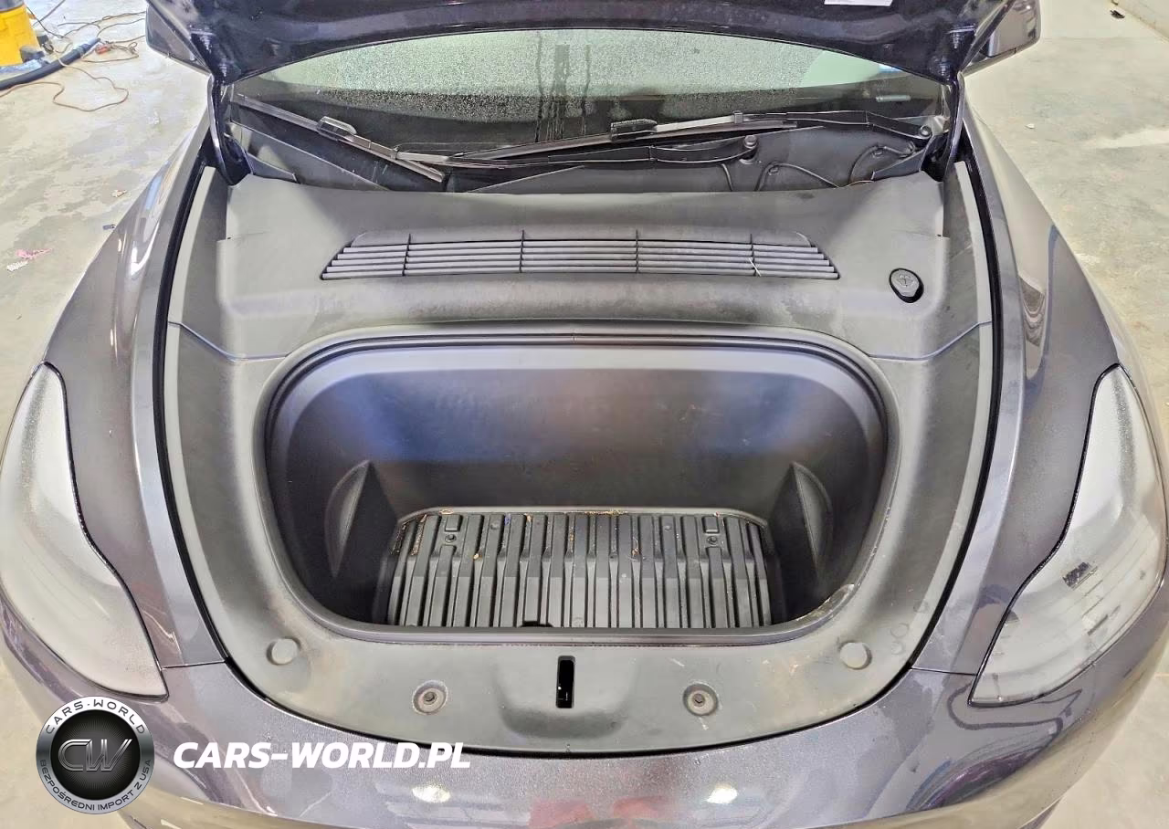 2024 Tesla Model Y VIN:7SAYGDEE1RA224418 - 11
