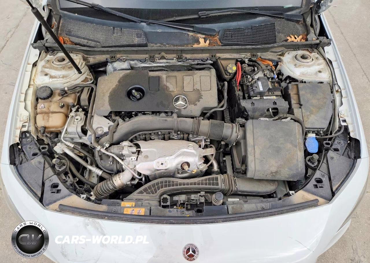 2020 Mercedes-Benz A 220 VIN:WDD3G4EB5LW042164 - 11