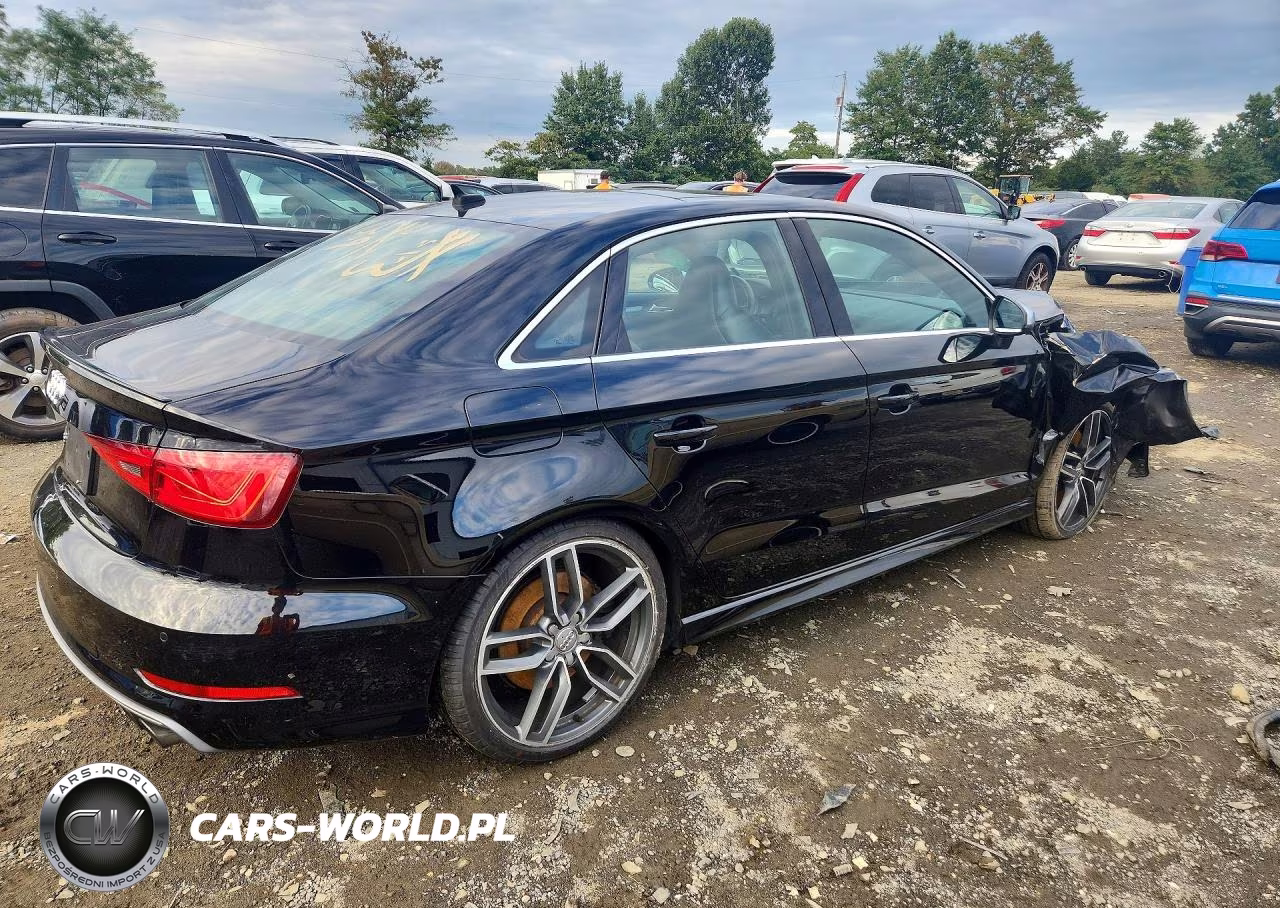 2016 Audi S3 VIN:WAUF1GFF8G1010031 - 3