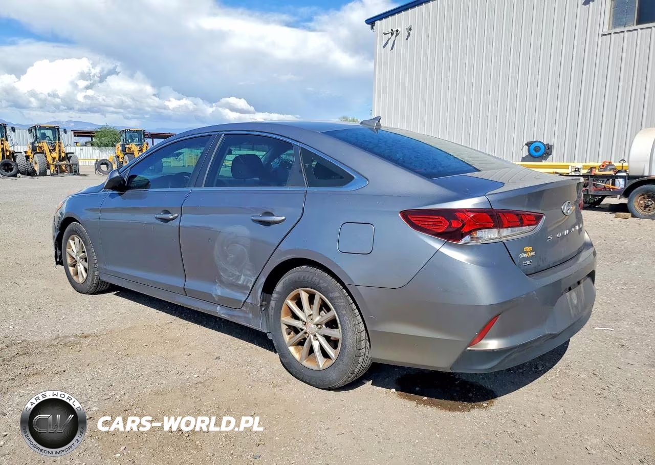 2019 Hyundai Sonata Se VIN:5NPE24AF2KH756929 - 2