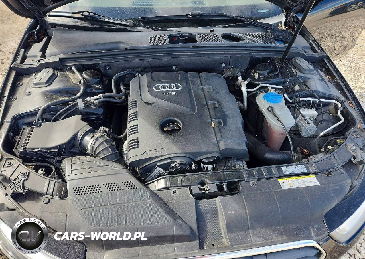 2013 Audi A4 Premium Plus VIN:WAUFFAFL6DA055257 - 11