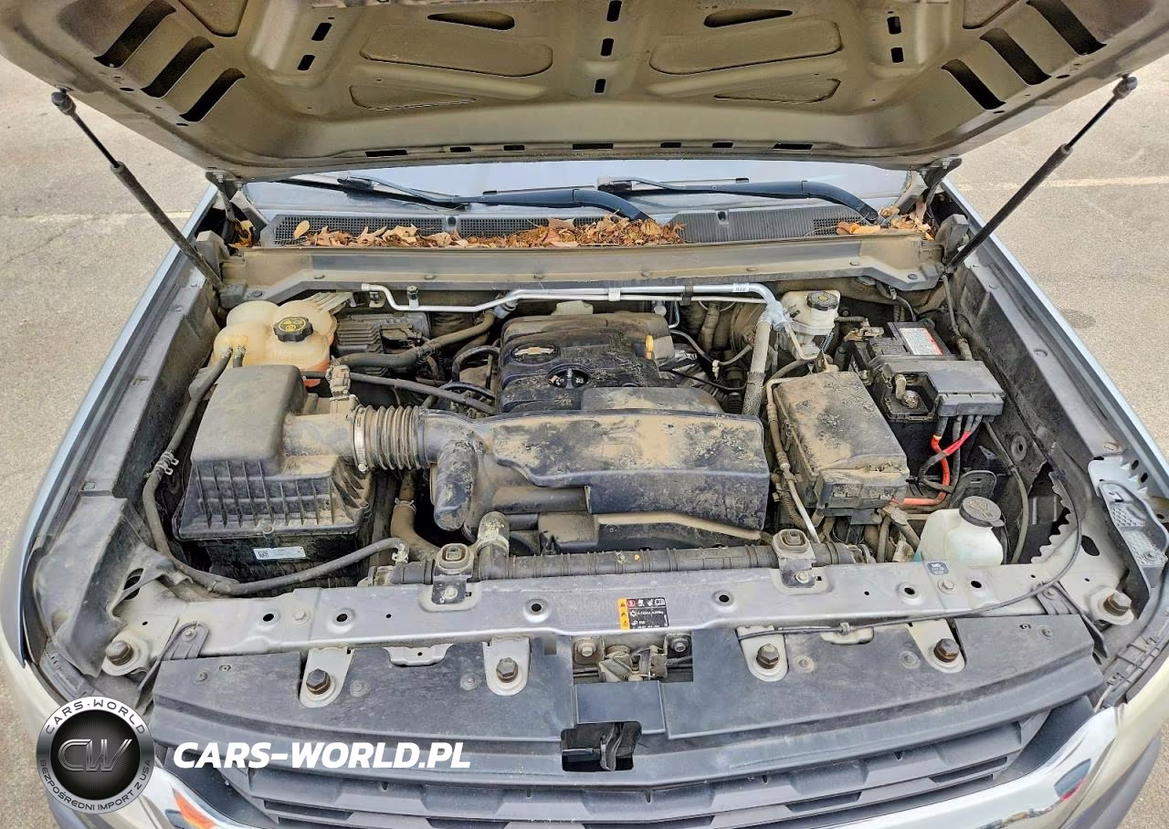 2019 Chevrolet Colorado VIN:1GCHSBEA6K1104080 - 11