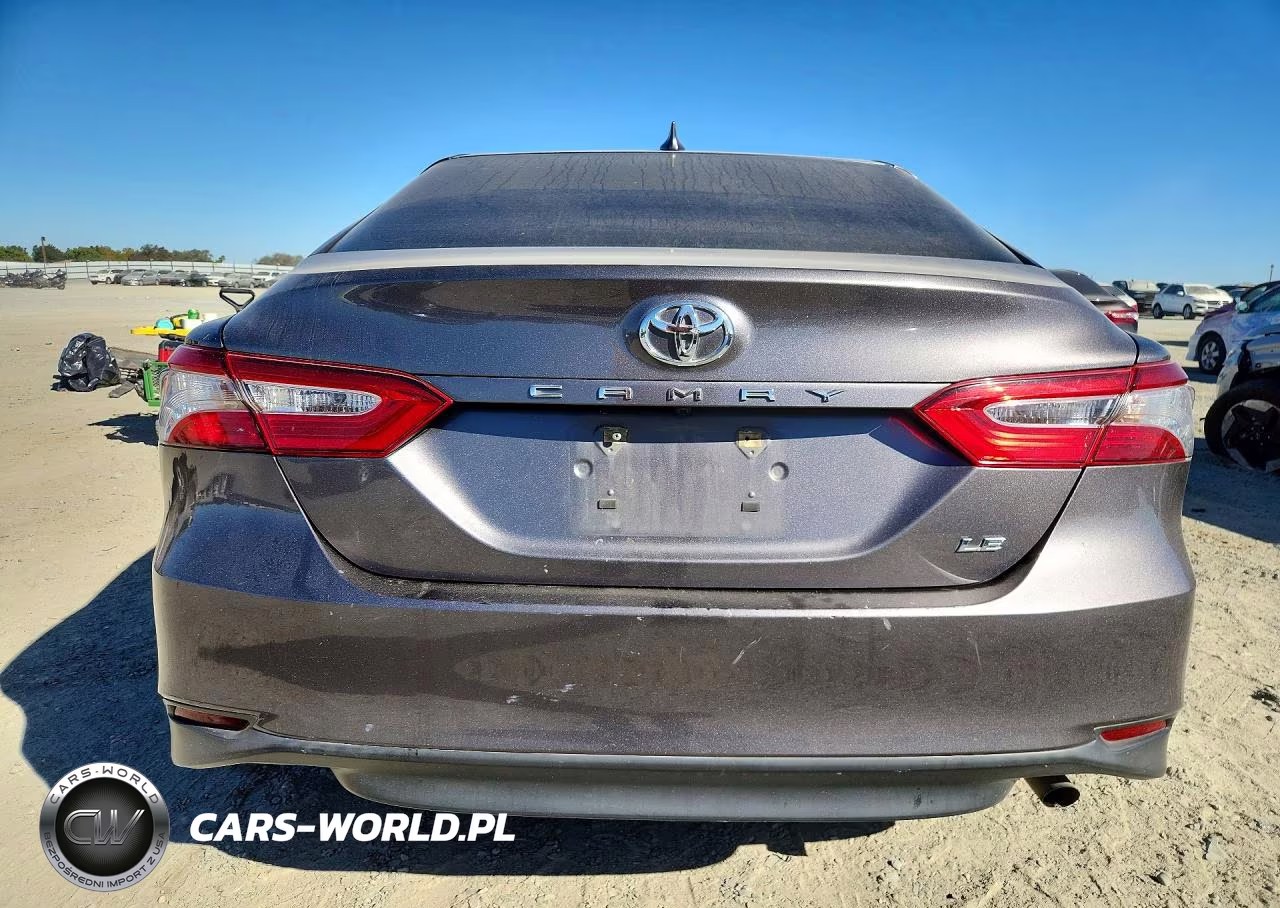2020 Toyota Camry Le VIN:4T1C11AKXLU331600 - 6