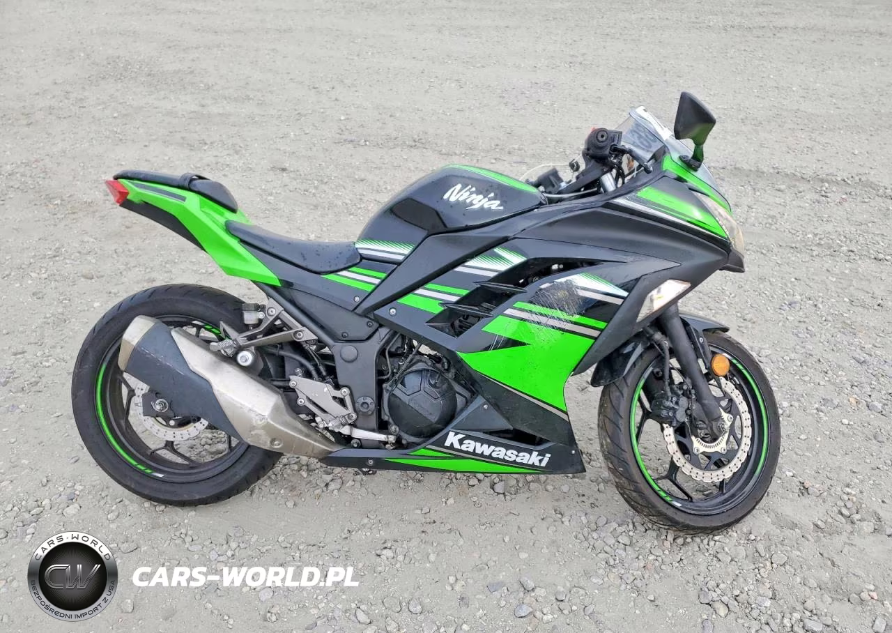 2016 Kawasaki Ex300 B – zdjęcie 1 z 9