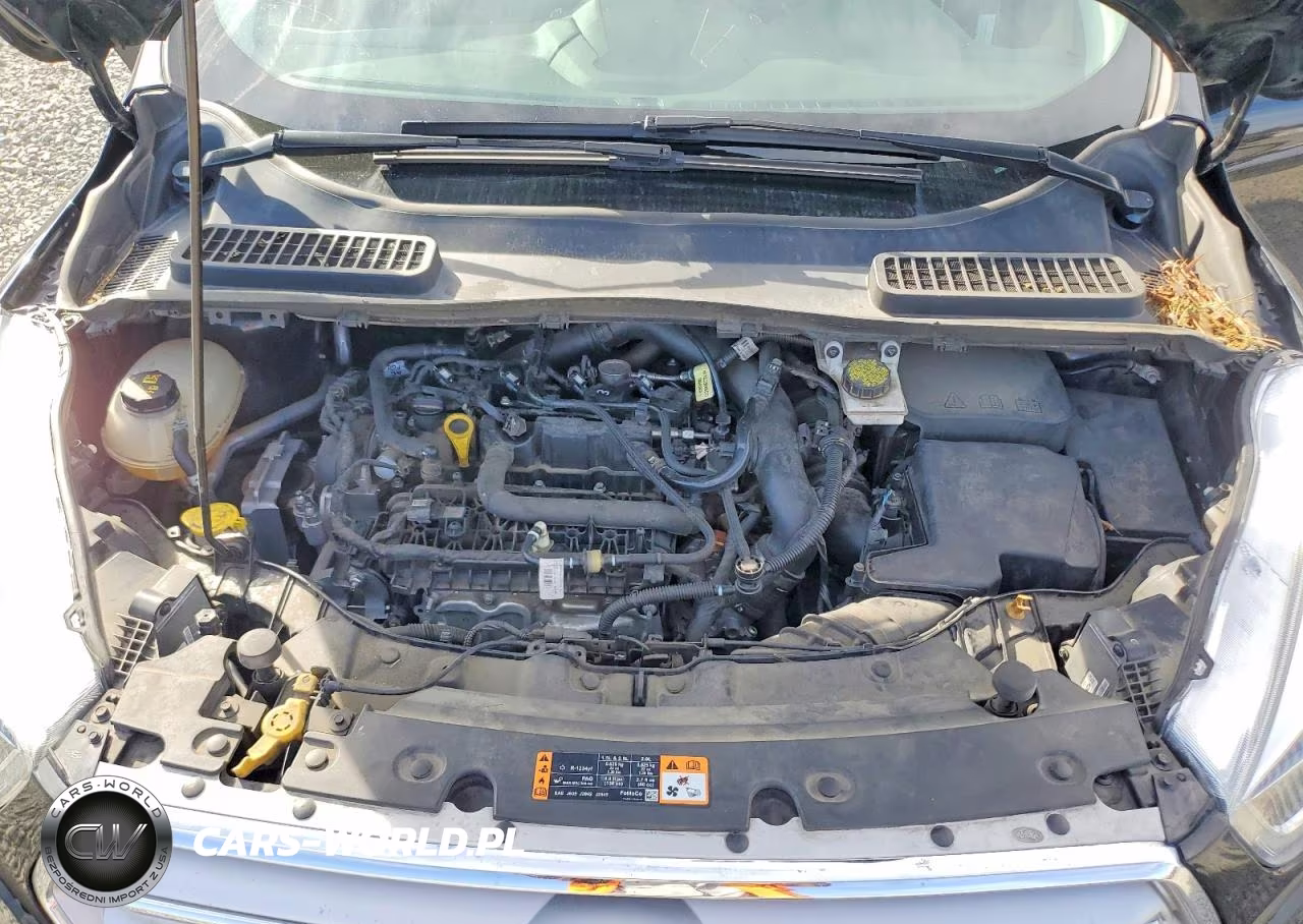 2019 Ford Escape Sel VIN:1FMCU9HD5KUC20836 - 12