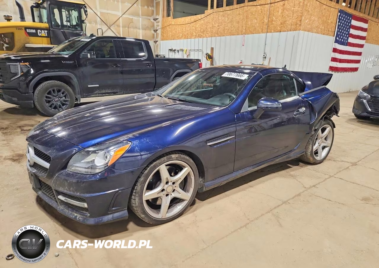 2013 Mercedes-Benz Slk 250
