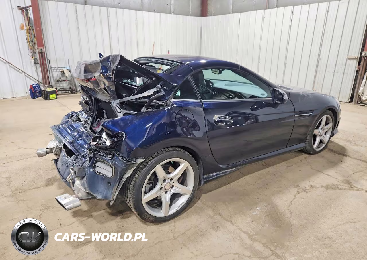 2013 Mercedes-Benz Slk 250 VIN:WDDPK4HAXDF052967 - 3