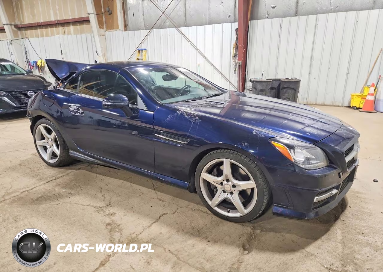 2013 Mercedes-Benz Slk 250 VIN:WDDPK4HAXDF052967 - 4