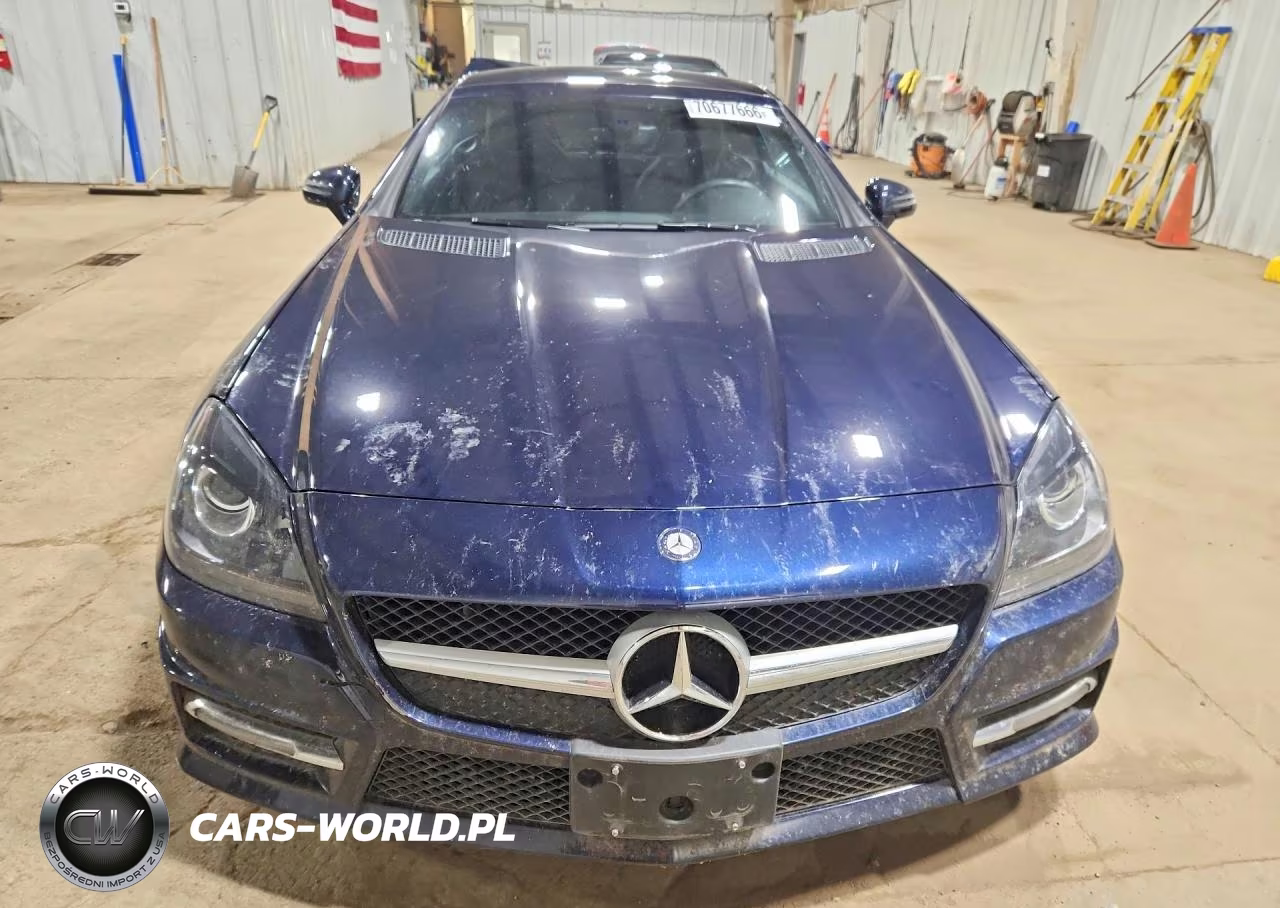 2013 Mercedes-Benz Slk 250 VIN:WDDPK4HAXDF052967 - 5