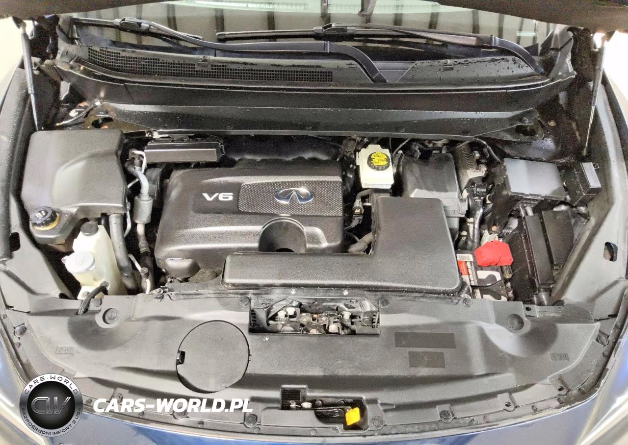 2019 Infiniti Qx60 Luxe VIN:5N1DL0MM2KC528061 - 12