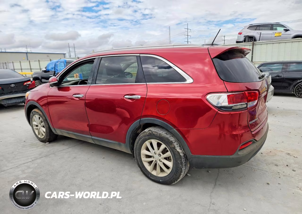 2017 Kia Sorento Lx VIN:5XYPG4A30HG218648 - 2